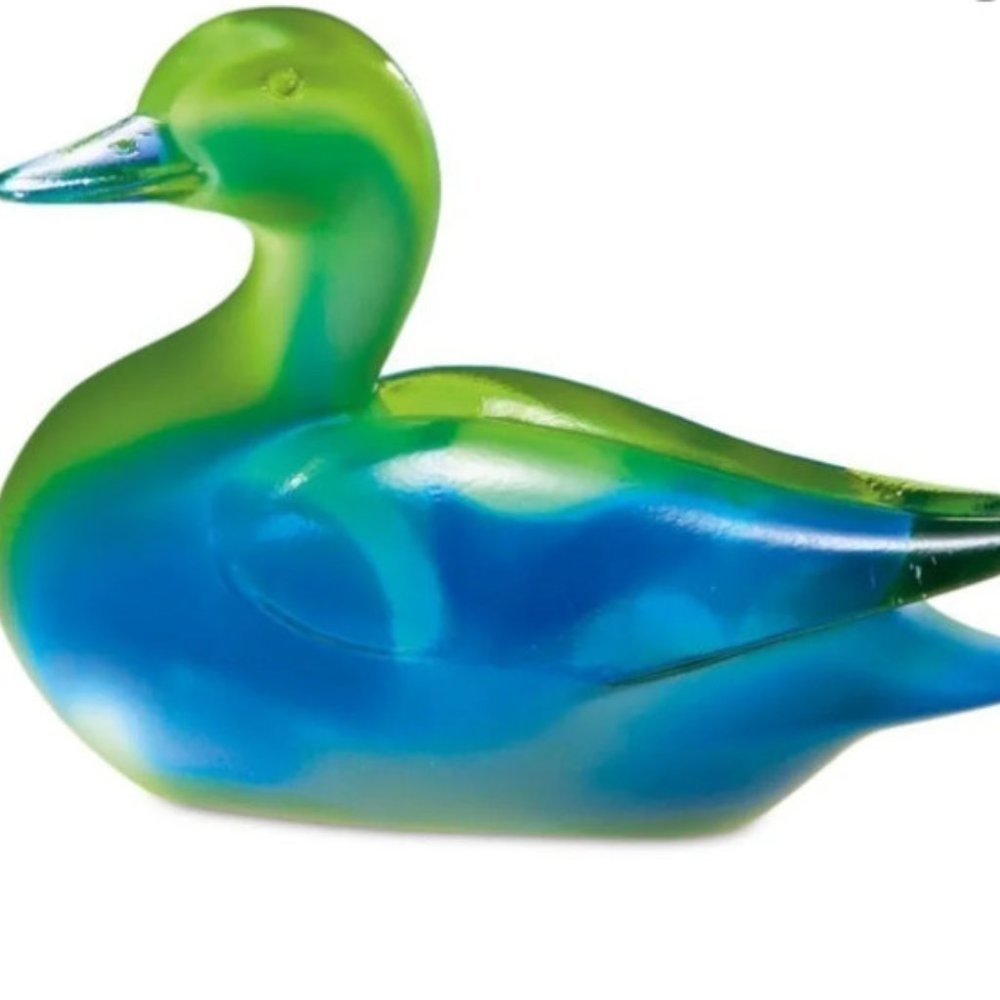 Green Winged Teal Duck